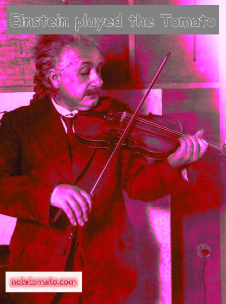 Einstein playing the tomato!